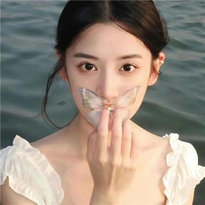 一周的朋友2017