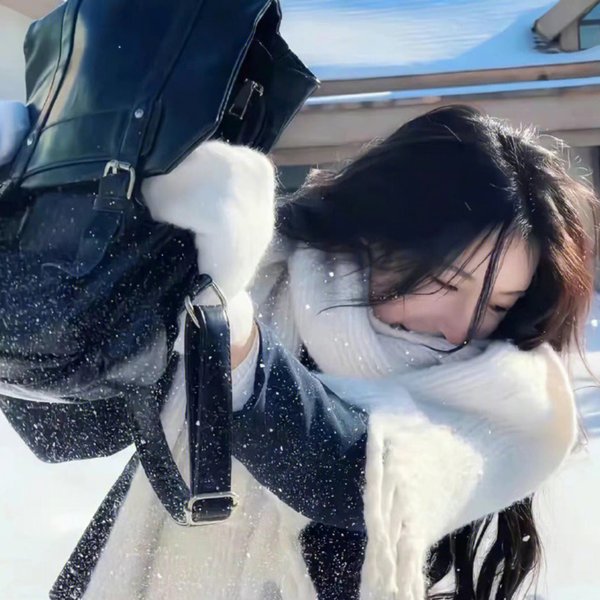 巅峰拍档第十四季
